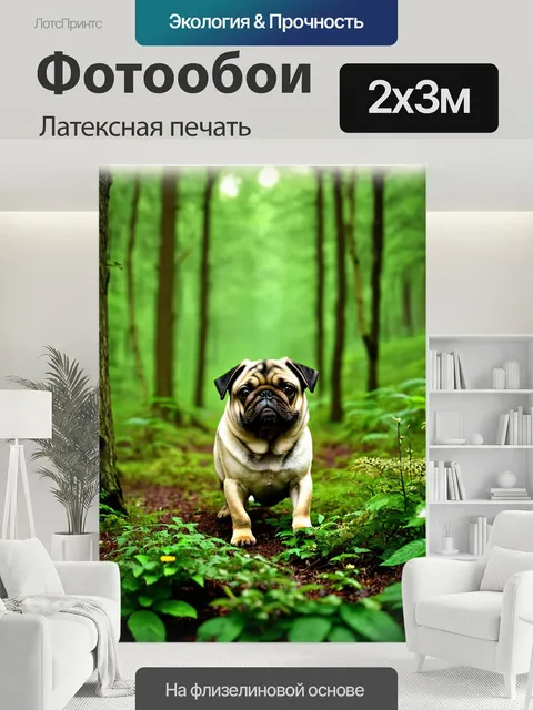 200 × 300 см · Латексная печать