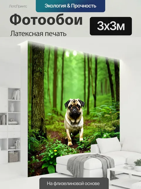 300 × 300 см · Латексная печать