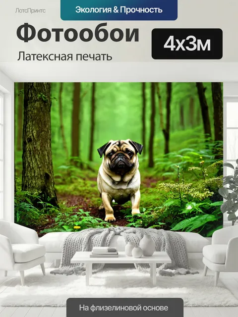 400 × 300 см · Латексная печать