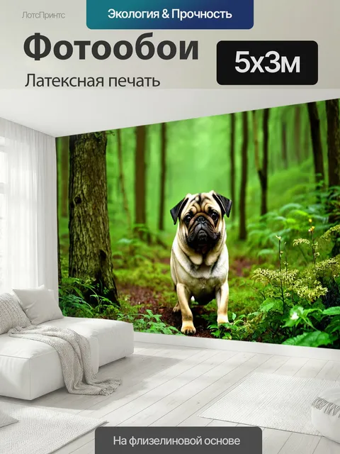 500 × 300 см · Латексная печать