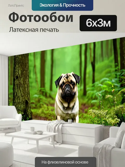 600 × 300 см · Латексная печать
