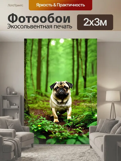 200 × 300 см · Экосольвентная печать