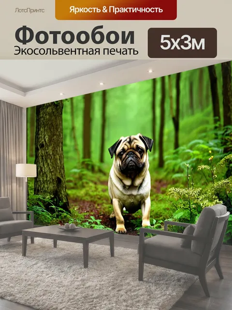 500 × 300 см · Экосольвентная печать