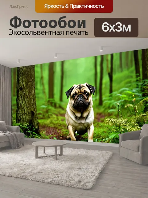 600 × 300 см · Экосольвентная печать