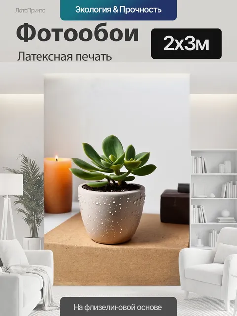200 × 300 см · Латексная печать