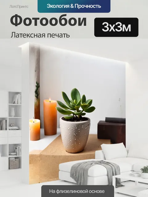 300 × 300 см · Латексная печать