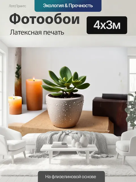 400 × 300 см · Латексная печать