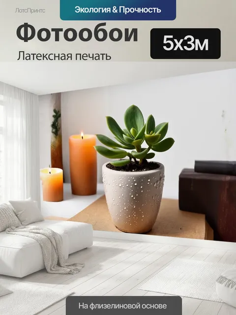 500 × 300 см · Латексная печать