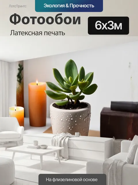 600 × 300 см · Латексная печать
