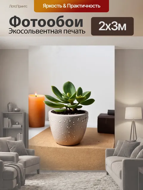 200 × 300 см · Экосольвентная печать
