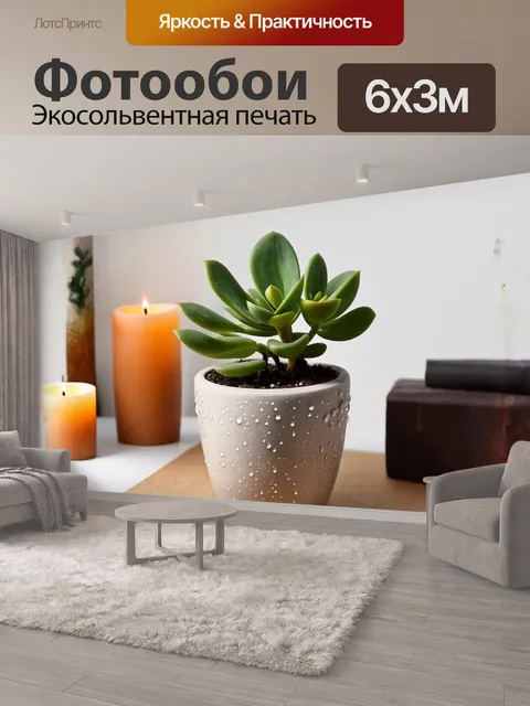 600 × 300 см · Экосольвентная печать