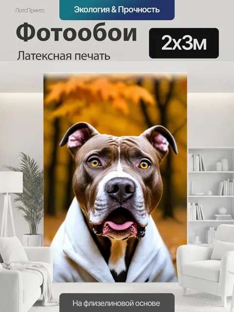 200 × 300 см · Латексная печать