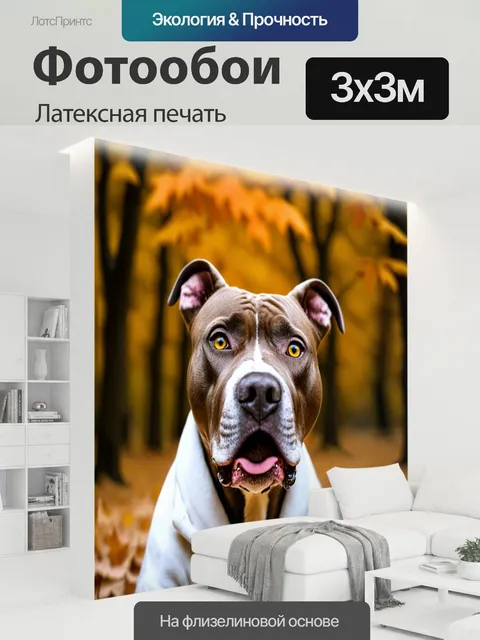 300 × 300 см · Латексная печать