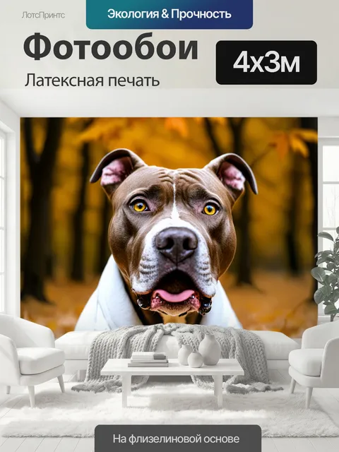 400 × 300 см · Латексная печать