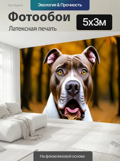500 × 300 см · Латексная печать