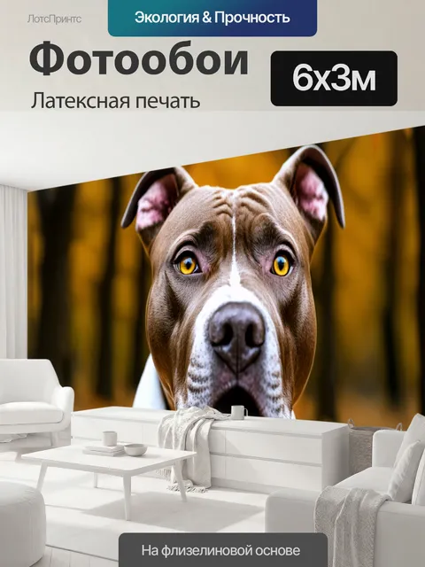 600 × 300 см · Латексная печать