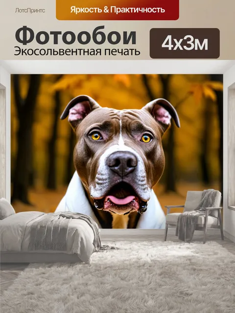 400 × 300 см · Экосольвентная печать