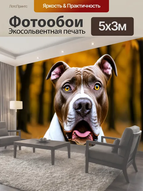 500 × 300 см · Экосольвентная печать