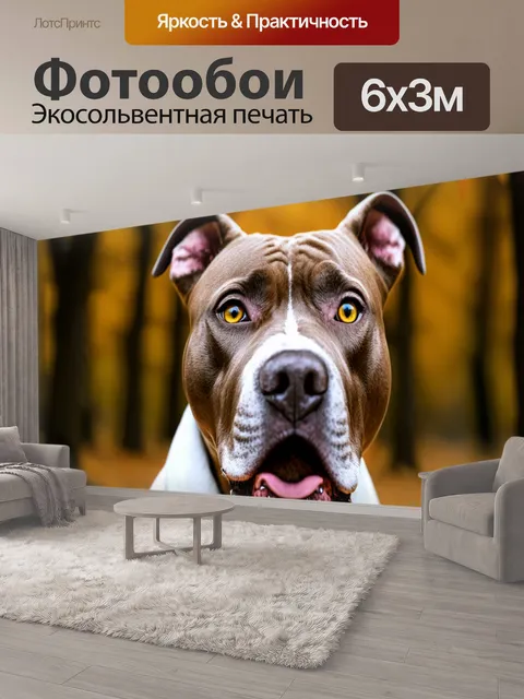 600 × 300 см · Экосольвентная печать