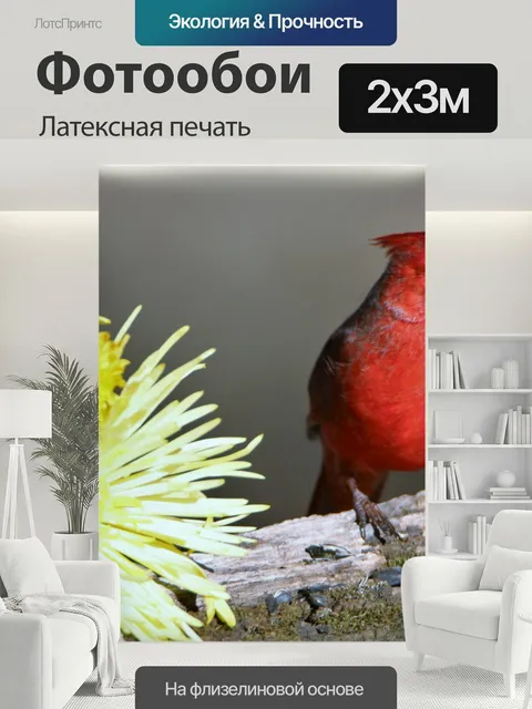 200 × 300 см · Латексная печать