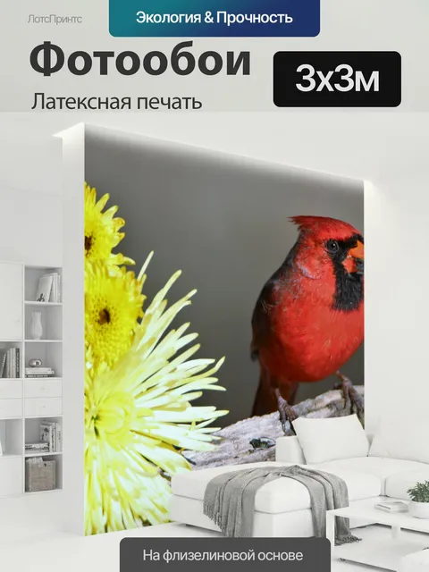 300 × 300 см · Латексная печать
