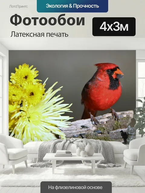 400 × 300 см · Латексная печать