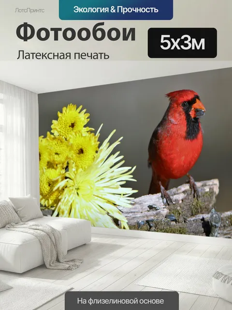 500 × 300 см · Латексная печать