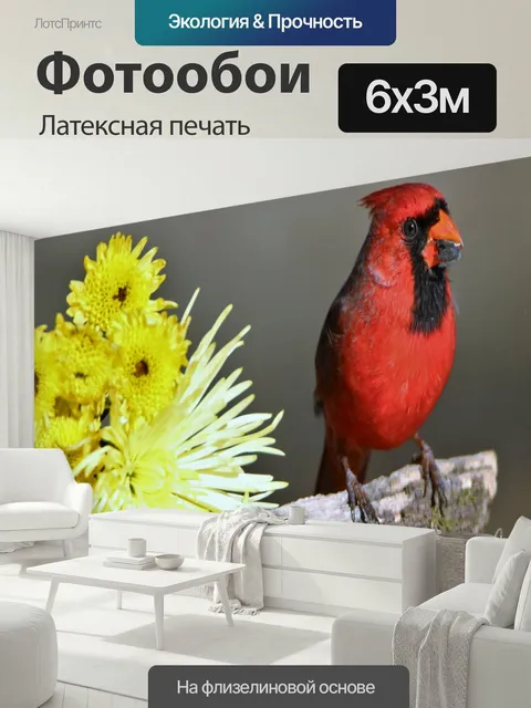 600 × 300 см · Латексная печать
