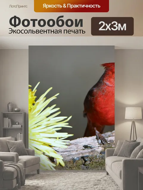 200 × 300 см · Экосольвентная печать