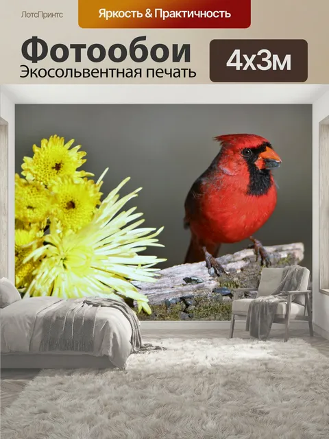 400 × 300 см · Экосольвентная печать