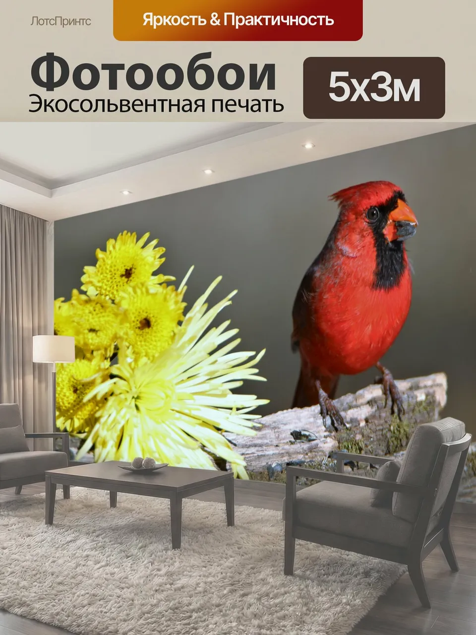 Фотообои Кардинальные и желтые мамы 2 Крупный план прекрасного мужского северного кардинала