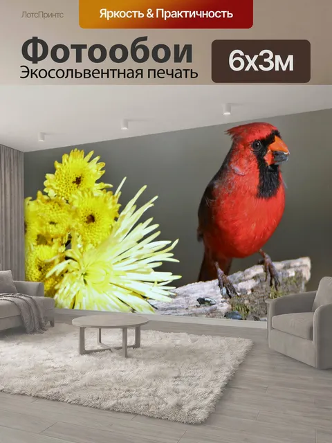 600 × 300 см · Экосольвентная печать
