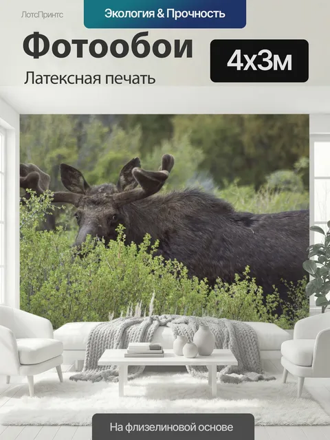 400 × 300 см · Латексная печать