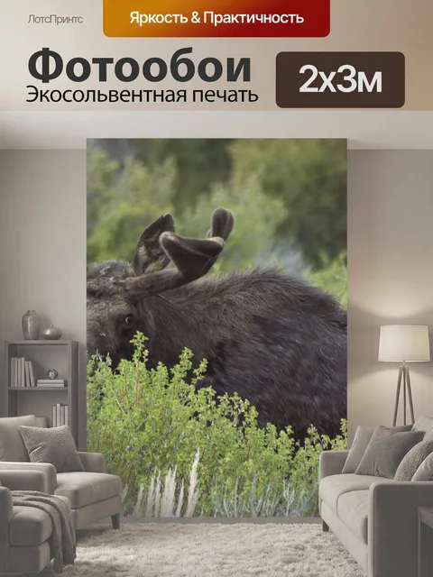 200 × 300 см · Экосольвентная печать