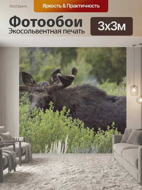 Фотообои Лось, зеленый, млекопитающее