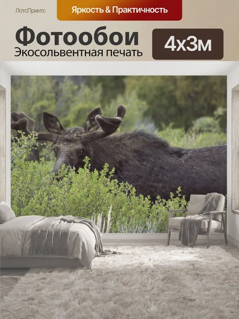 400 × 300 см · Экосольвентная печать