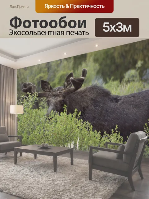 500 × 300 см · Экосольвентная печать