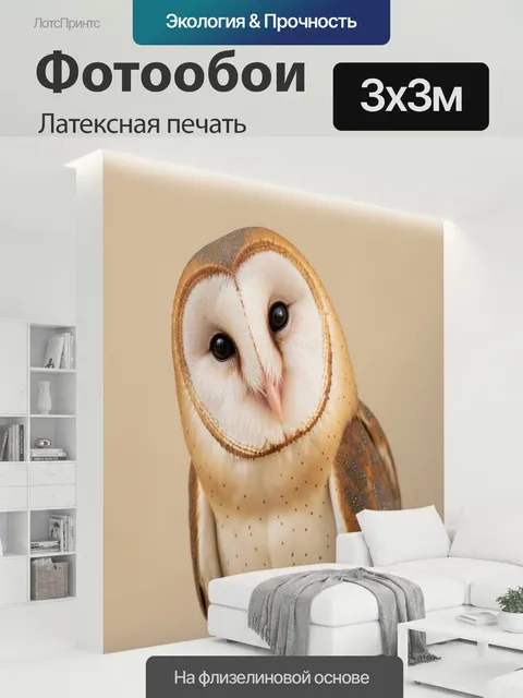 300 × 300 см · Латексная печать
