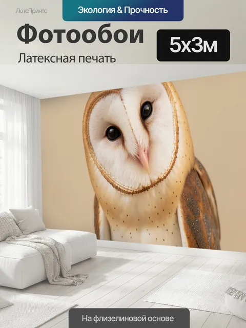 500 × 300 см · Латексная печать