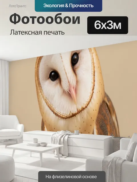600 × 300 см · Латексная печать