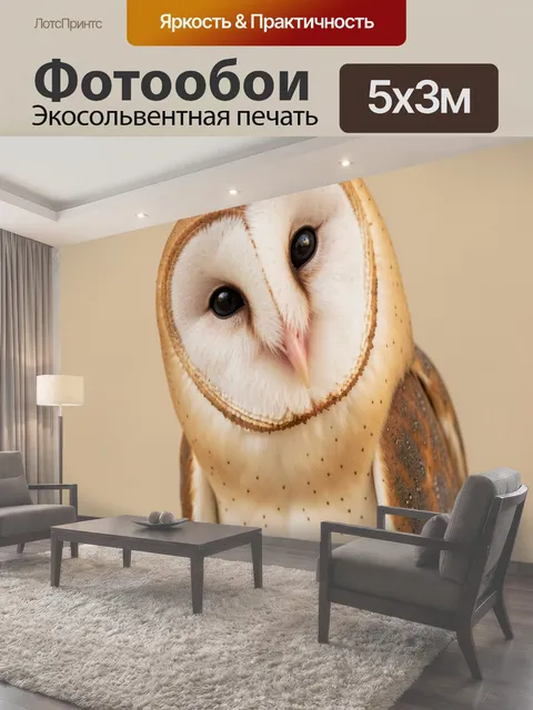 500 × 300 см · Экосольвентная печать