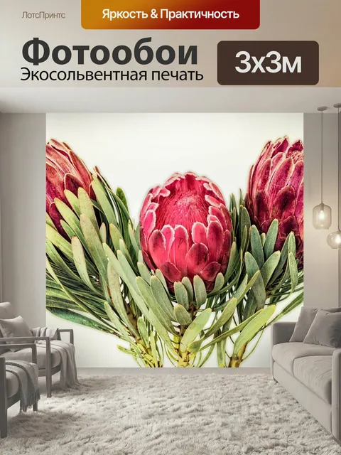 Фотообои Протея, южная африка, красный
