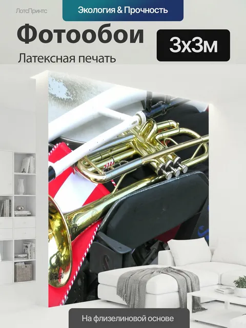 300 × 300 см · Латексная печать