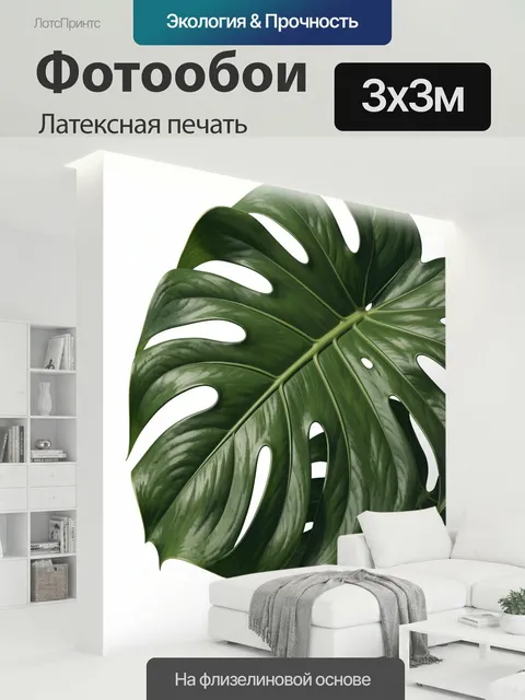 300 × 300 см · Латексная печать