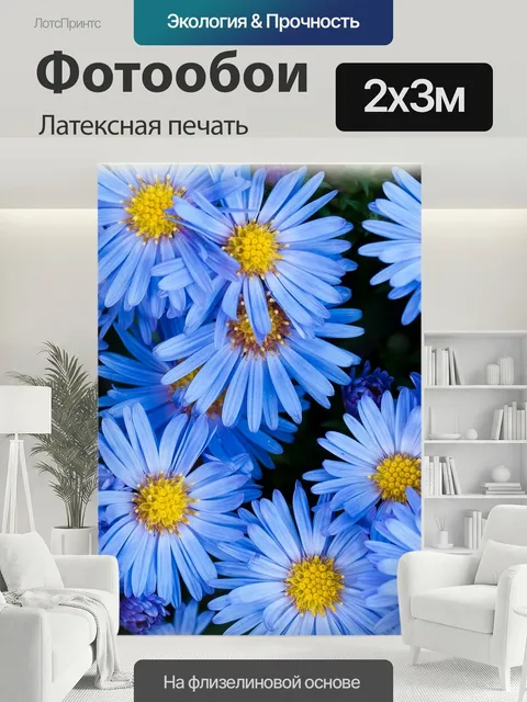 200 × 300 см · Латексная печать