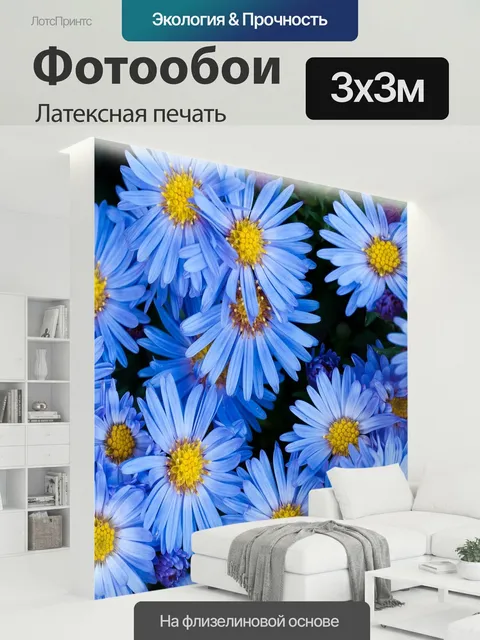 300 × 300 см · Латексная печать