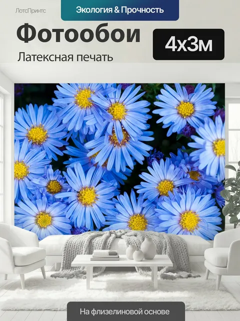400 × 300 см · Латексная печать