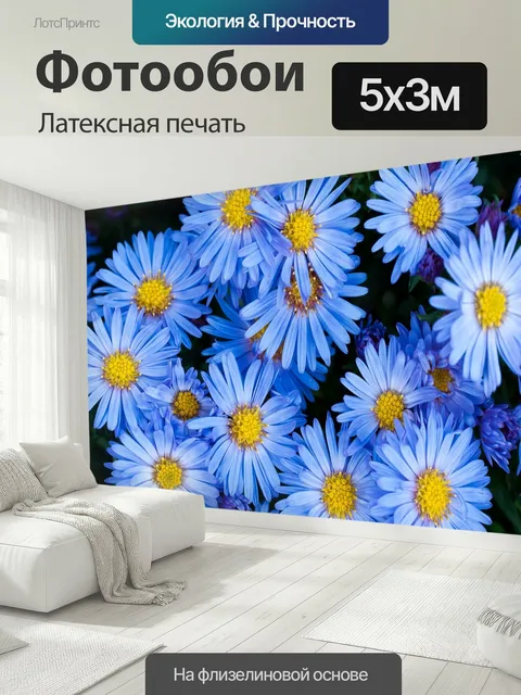500 × 300 см · Латексная печать