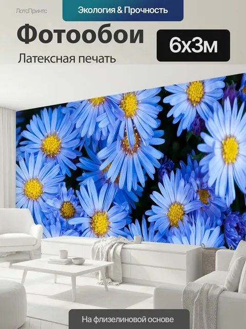 600 × 300 см · Латексная печать