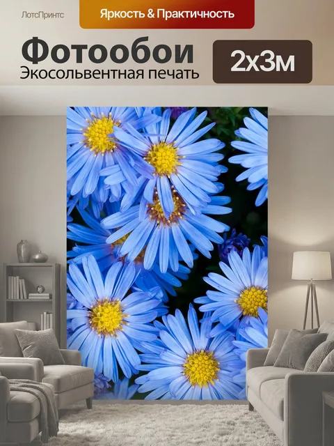 200 × 300 см · Экосольвентная печать